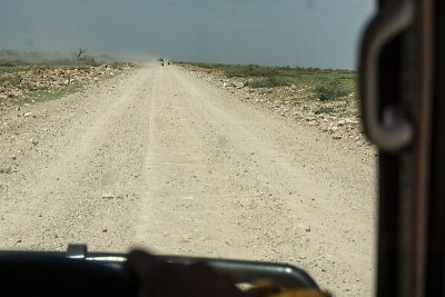 Dusty Road