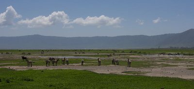 Inside the Ngorongoro Conservation Area