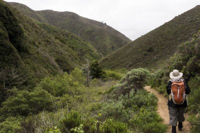 March 29  - Hike at Garrapata State Park