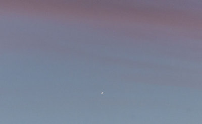 The Crescent Venus at Sunset