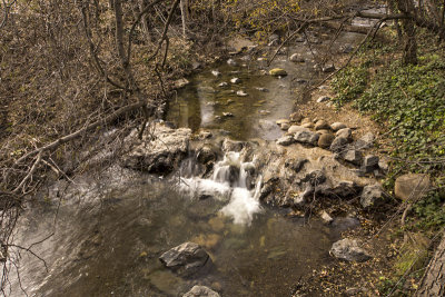 Saratoga Creek