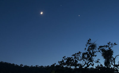 The Crescent Moon, Jupiter and Venus Setting together