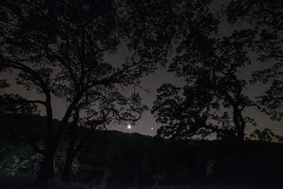 The Crescent Moon, Jupiter and Venus Setting together