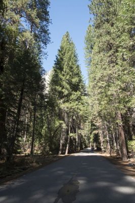 Oct 2 - Yosemite Valley