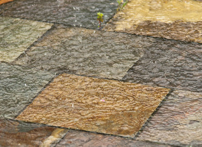 Flooded Patio