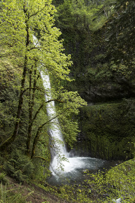 Tunnel Falls