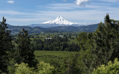 Mount Hood