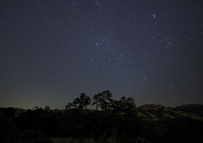 A Perseid Meteor