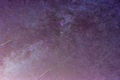 Cygnus  with some Perseids