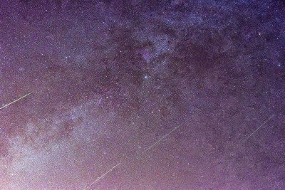 Cygnus with some Perseids