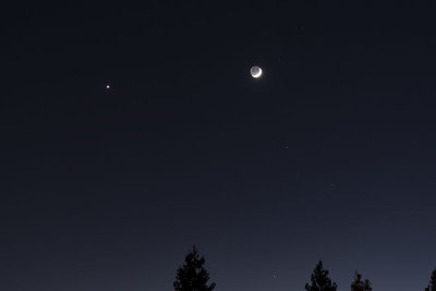 The Young Moon and Venus setting