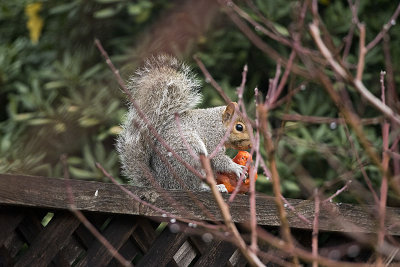 Snacking