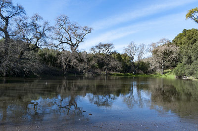 Pichetti Ranch Pond