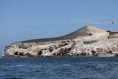 L'le au guano