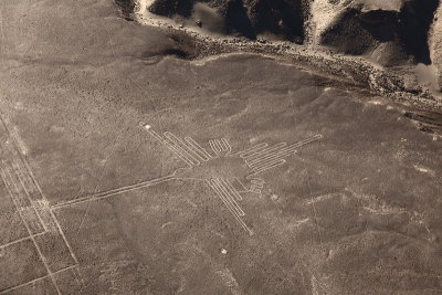 Goglyphes de Nazca