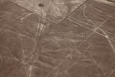 Goglyphes de Nazca