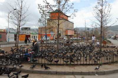 La place aux pigeons