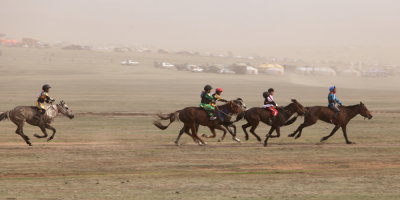 Course de chevaux