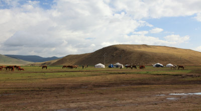 Paysage de steppe
