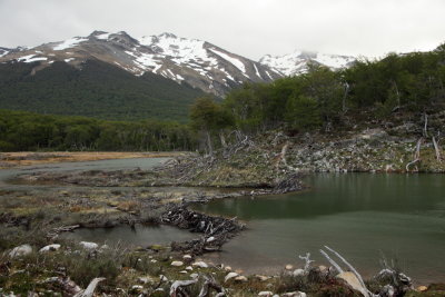 Lac aux castors et tourbires