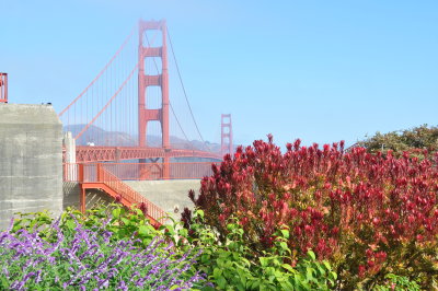 San FranciscoVue du pont Golden GateView of the Golden Gate Bridge