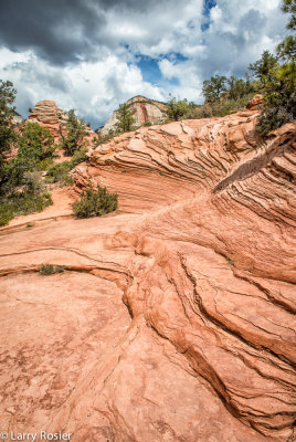 Zion National Park