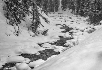 Soda Butte Creek