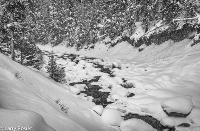 Soda Butte Creek