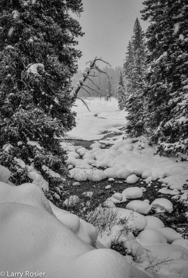 Soda Butte Creek
