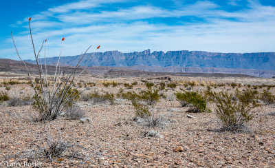 Chisos Mountains From The Road To The Rio Grande Village