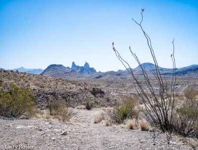 Mule Ear Peaks From The Ross Maxwell Scenic Drive