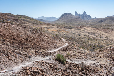 Mule Ear Peaks From The Ross Maxwell Scenic Drive