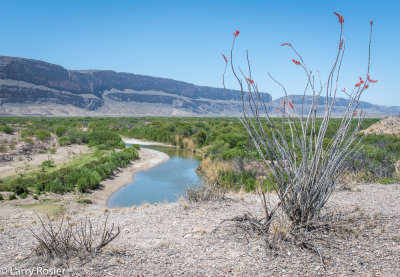 Rio Grande From The Ross Maxwell Scenic Drive