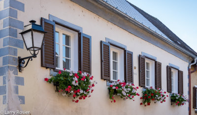 Durnstein Flowers, Austria