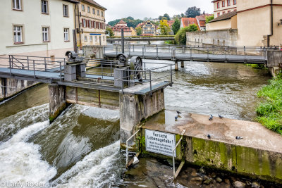 Bamberg Water Management