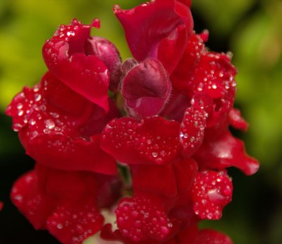 _DSC3557a.jpg