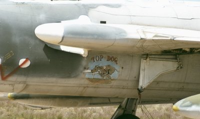 DM 1984 F105D TOP DOG.jpg