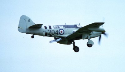 YEO 1980 FIREFLYB.jpg