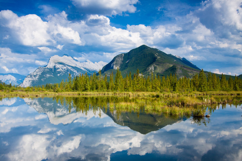 _MG_4679.jpg - Sulphur Mountain