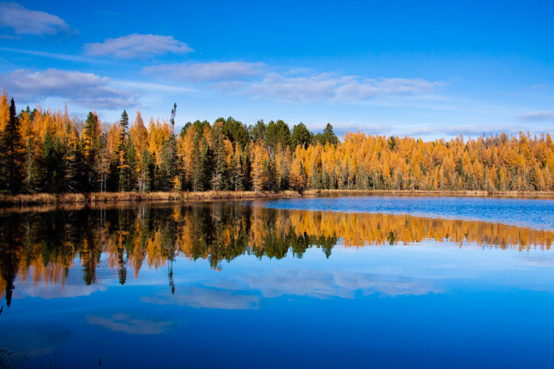 _MG_9138.jpg -fall reflections