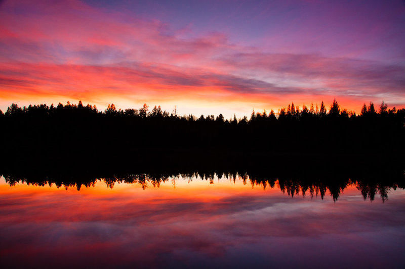 _MG_7967.jpg