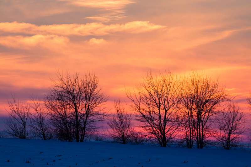 _MG_0815.jpg