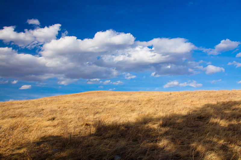 _MG_3942.jpg