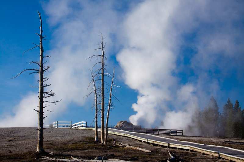 _MG_7187.jpg
