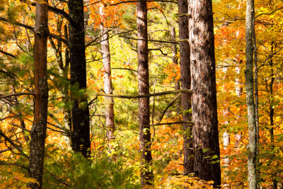 Copper Falls State Park