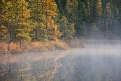 _MG_8267.jpg - along the shore
