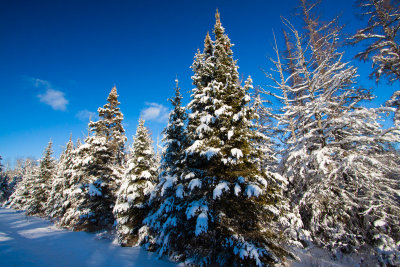 _MG_6165.jpg