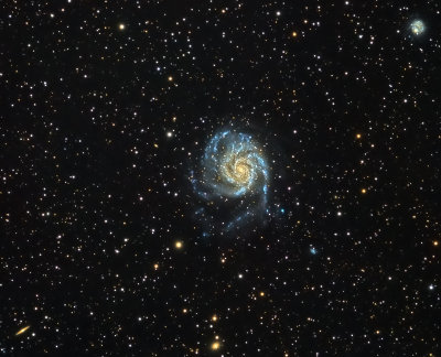 Messier 101: Pinwheel Galaxy Crop