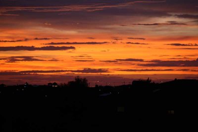 IMG_0313.jpg