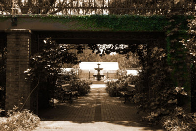 Entrance to an Old Rose Garden